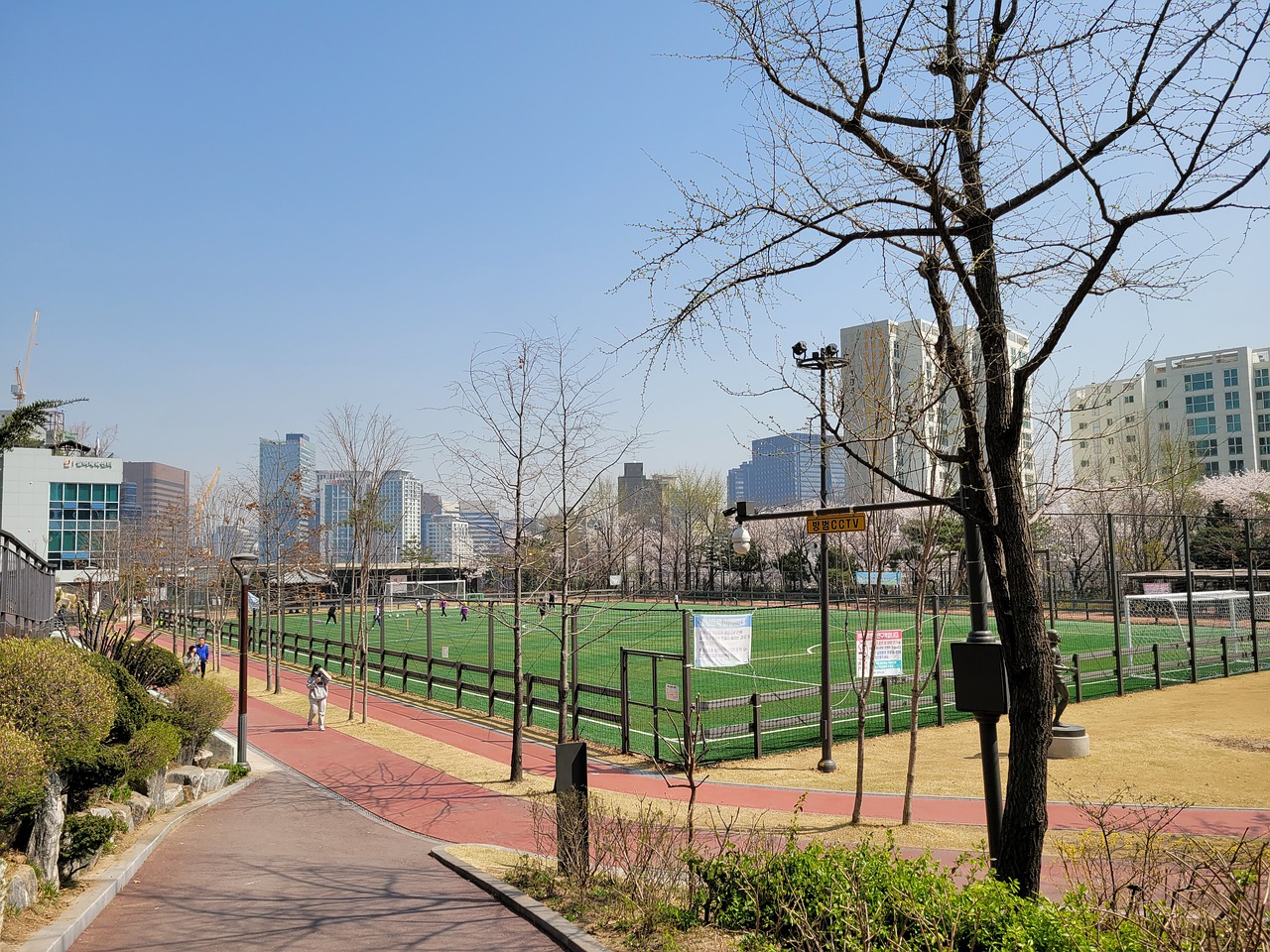 在孕妇照中 在孕妇照中