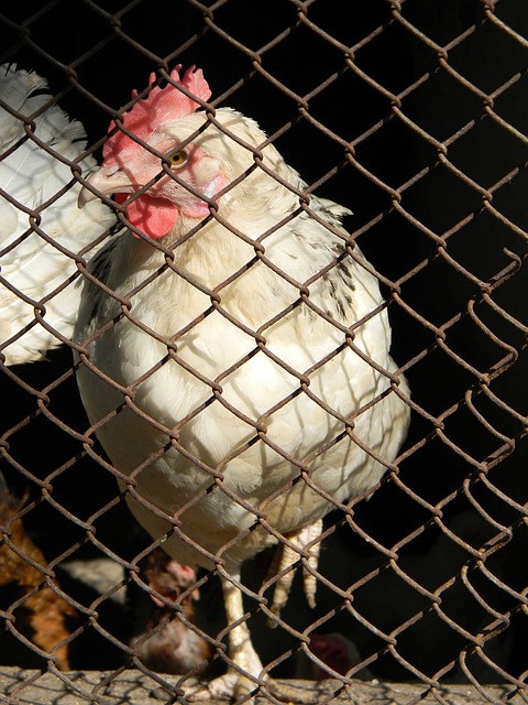 退休金也会 退休金也会