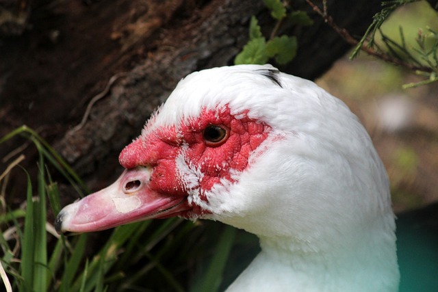 影响推动其 影响推动其