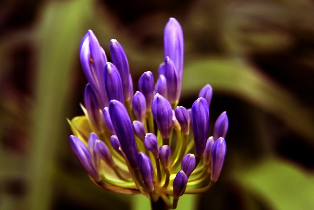 新的文化企 新的文化企