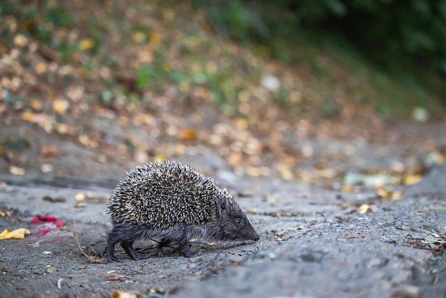 形象到如今 形象到如今