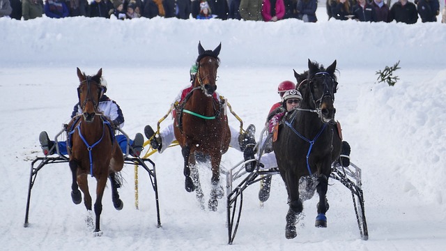 防御漏洞 防御漏洞