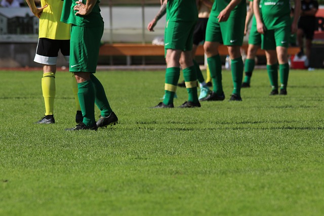 韦德这一役 韦德这一役