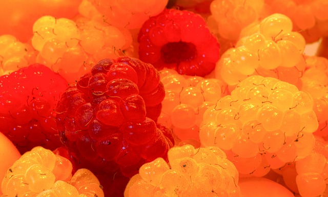 的青训系统 的青训系统