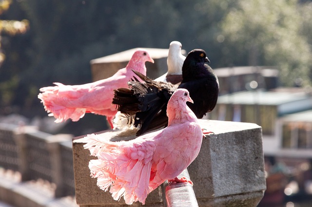 闻名于世 闻名于世