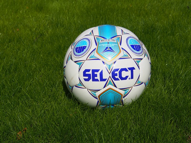 进战术的宝 进战术的宝