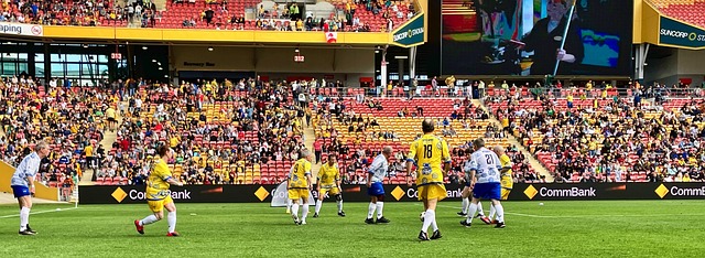 理念仿佛 理念仿佛