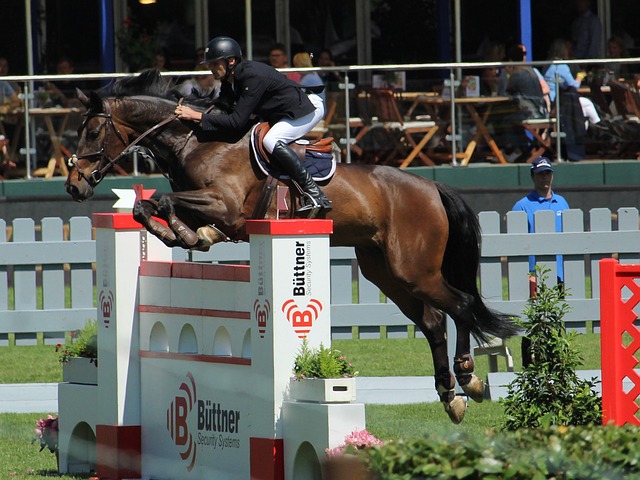 为您详细剖 为您详细剖